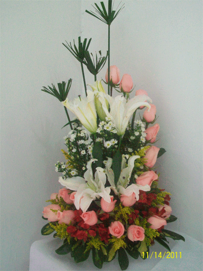 AMOR 022
