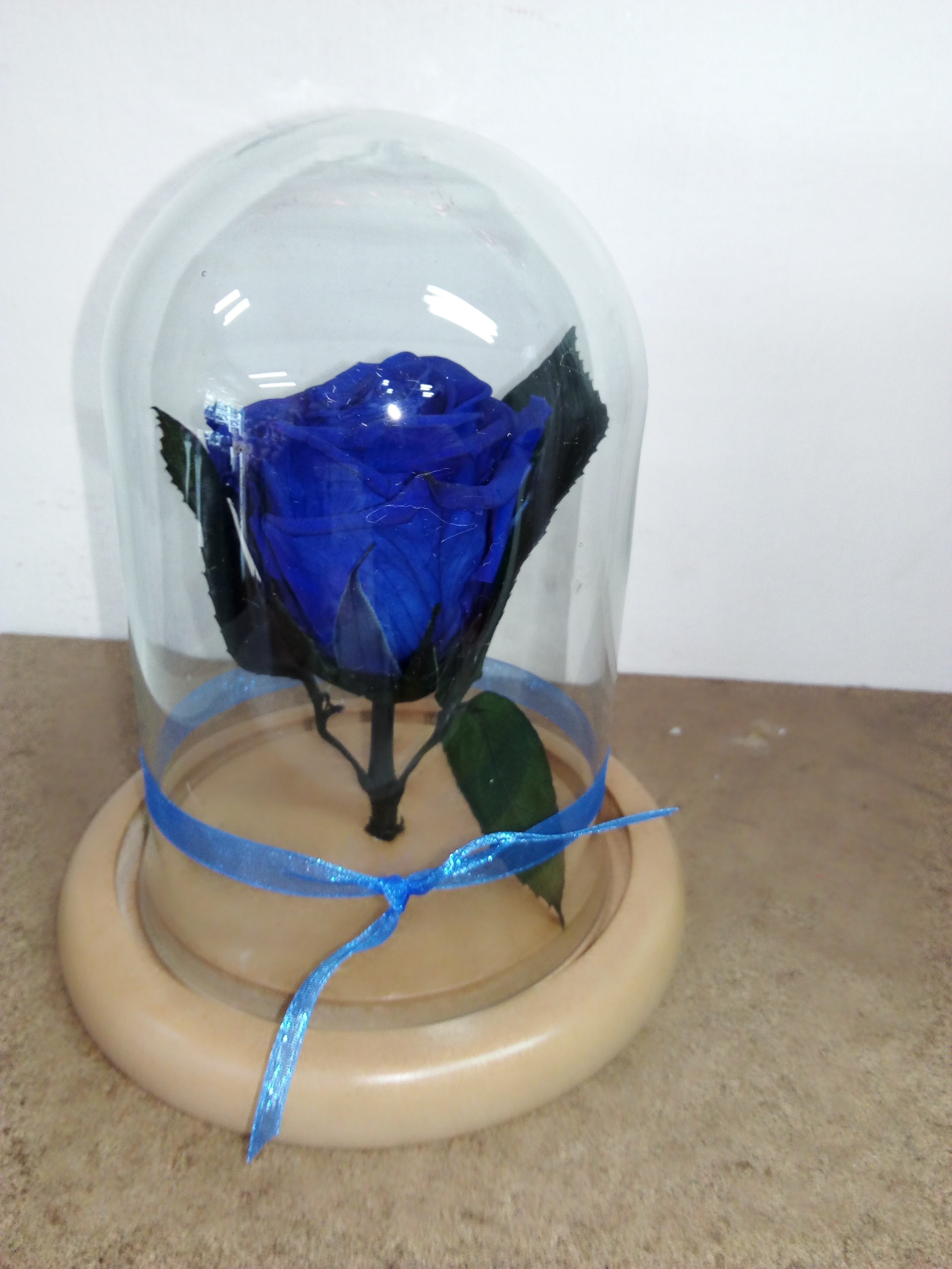 eterna Azul