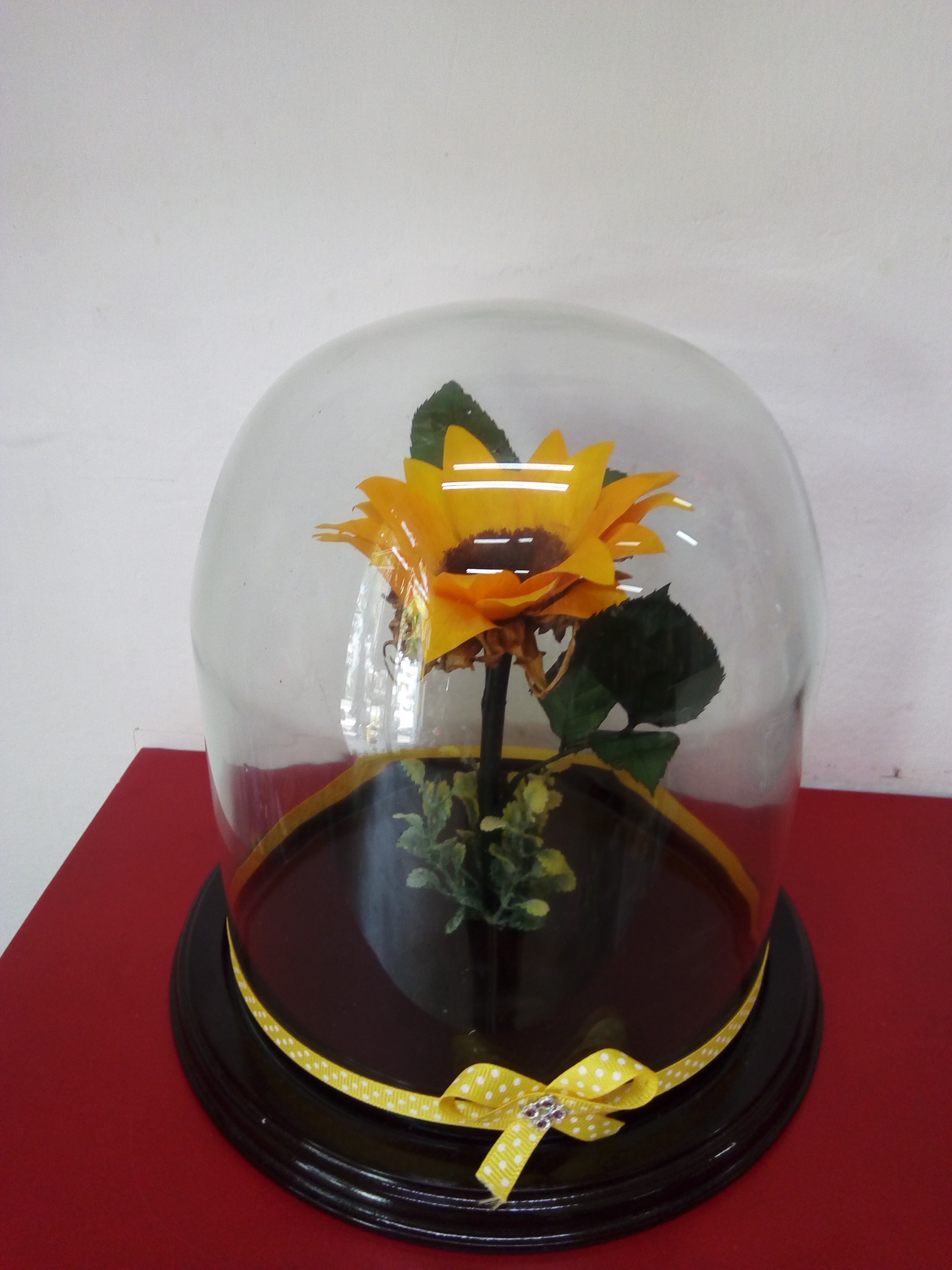 GIRASOL ETERNO