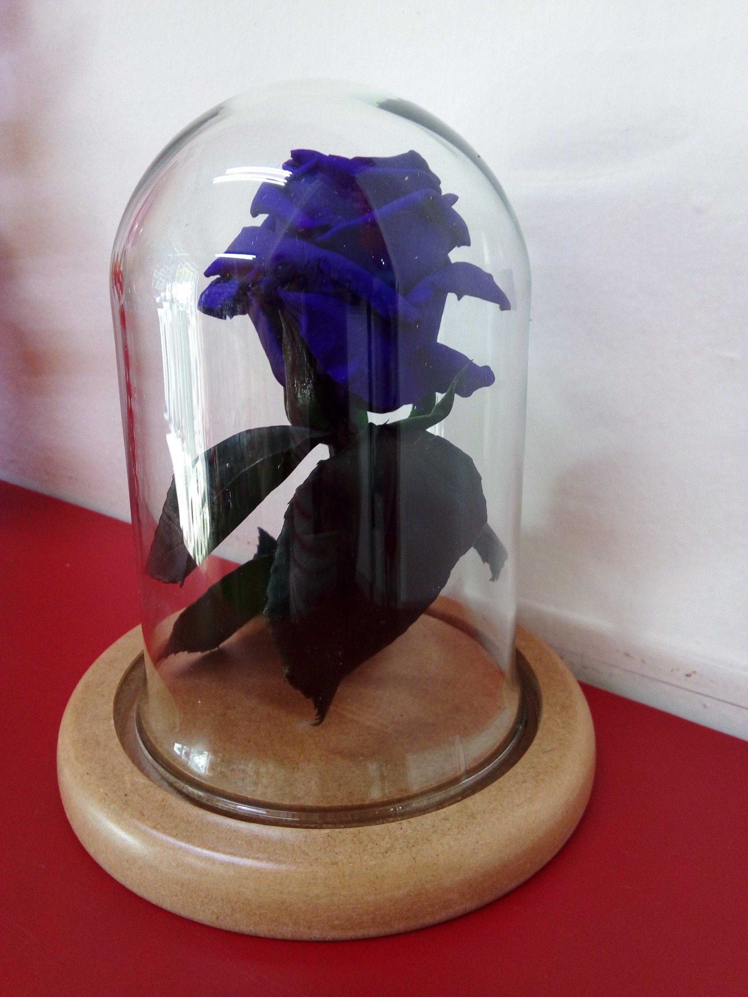 Eterna Morada