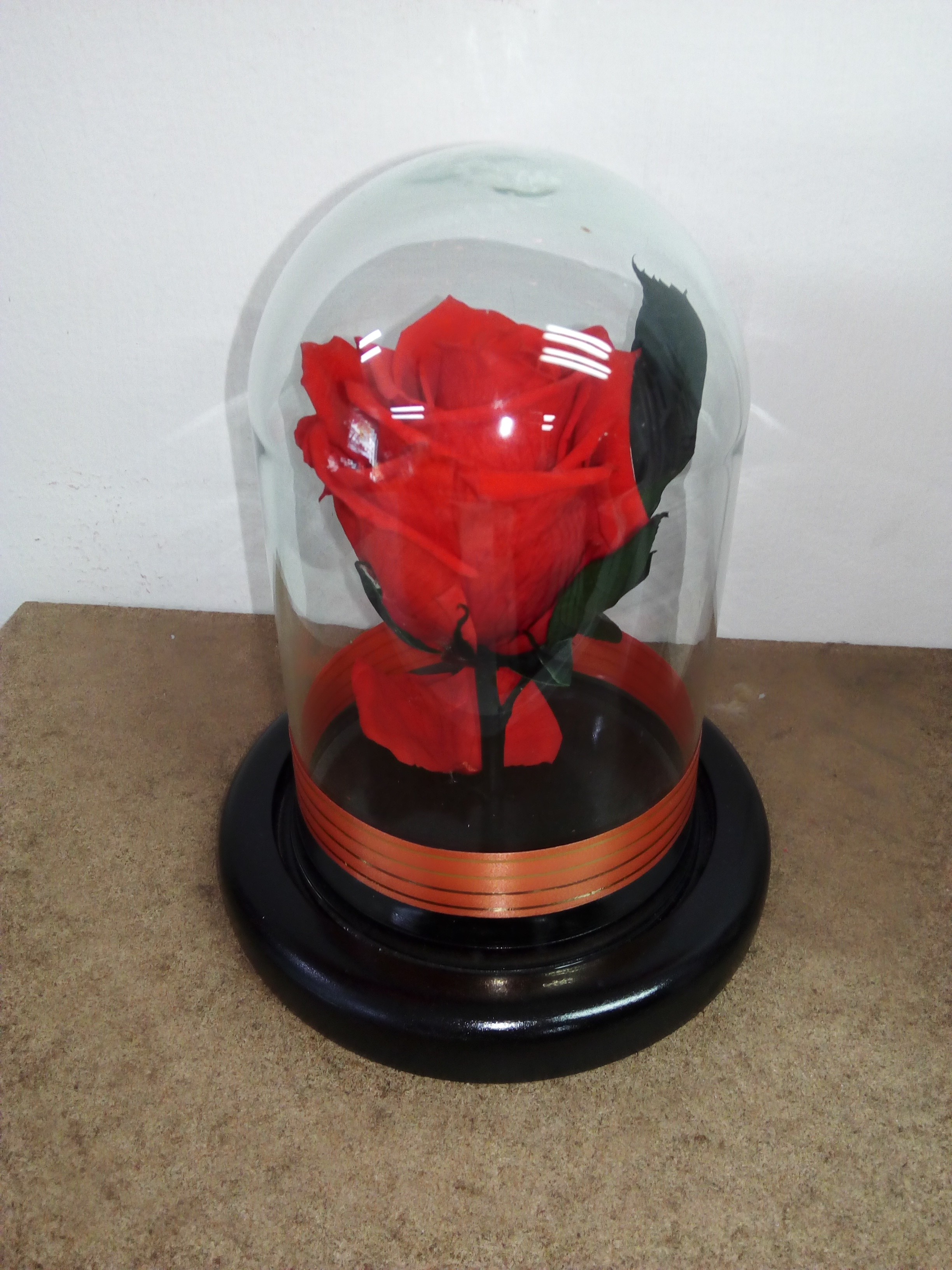 ETERNA NARANJA