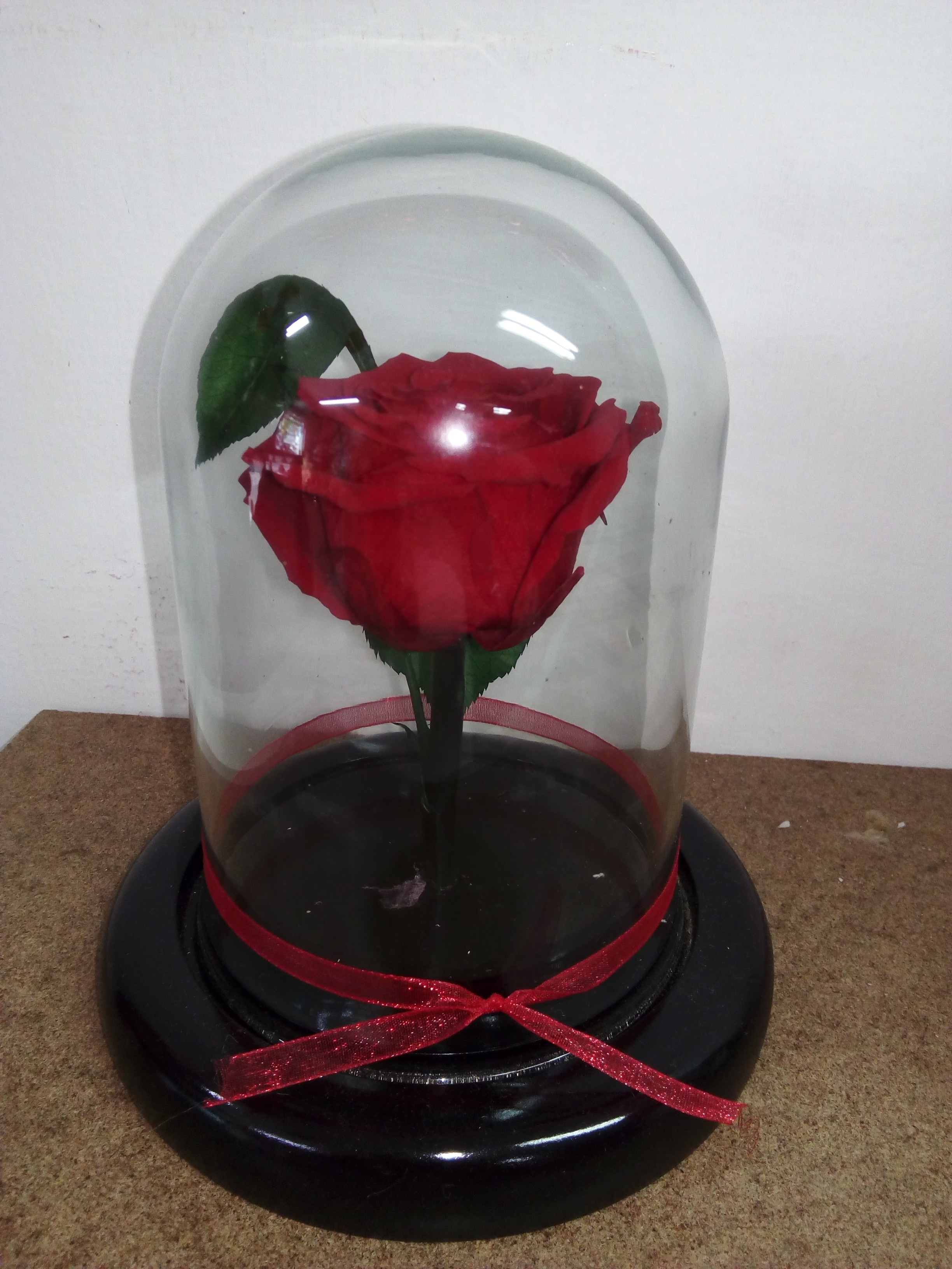 ETERNA ROJA