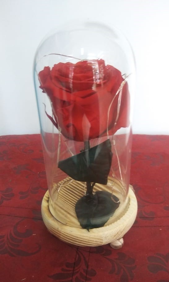 ETERNA ROJA LED