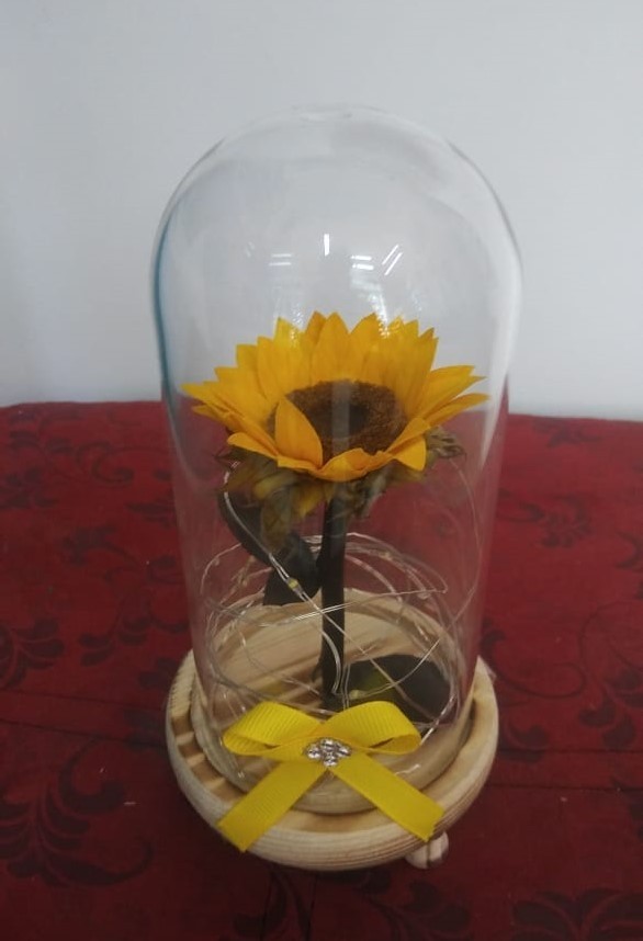 GIRASOL ETERNO LED