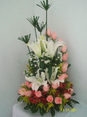 AMOR 022
