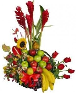 FRUTAL 005