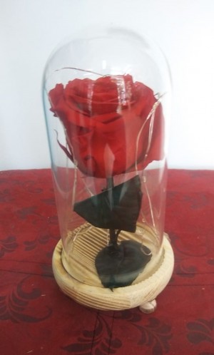 ETERNA ROJA LED