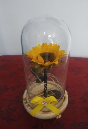 GIRASOL ETERNO LED